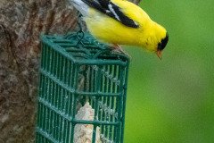 DSC_1612 DSC_1612