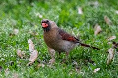 DSC_1628 DSC_1628