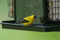 DSC_1637 DSC_1637