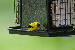 DSC_1640 DSC_1640