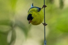 DSC_1652 DSC_1652