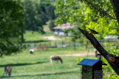 DSC_1721 DSC_1721