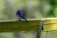 DSC_1773 DSC_1773