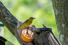 DSC_1791 DSC_1791