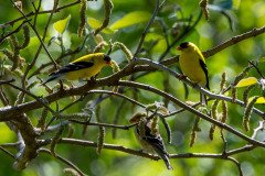 DSC_1858 DSC_1858