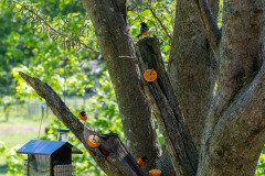 DSC_1881 DSC_1881