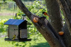 DSC_1891 DSC_1891