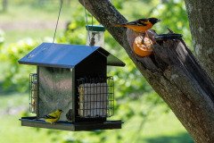 DSC_1901 DSC_1901