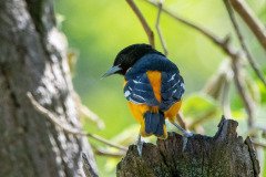 DSC_1906 DSC_1906