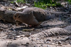 DSC_1995 DSC_1995