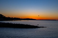 Harbor Sunrise Harbor Sunrise