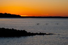 Harbor Sunrise Harbor Sunrise