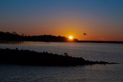Harbor Sunrise Harbor Sunrise