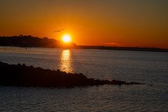 Harbor Sunrise Harbor Sunrise