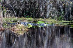 DSC_0124 DSC_0124