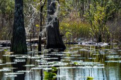 DSC_0305 DSC_0305