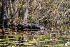 DSC_0330 DSC_0330