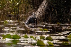 DSC_0370 DSC_0370