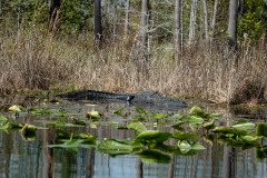 DSC_0391 DSC_0391