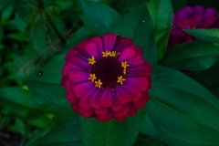 ZZ84234-Edit