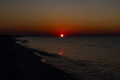 ZZ81116 ZZ81116