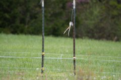 DSC_6641 DSC_6641