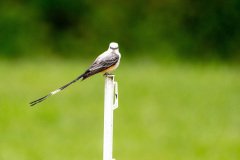 DSC_6765 DSC_6765