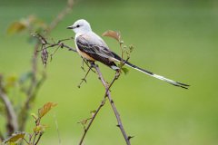 DSC_6802 DSC_6802