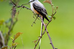 DSC_6812 DSC_6812