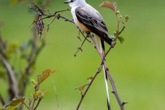 DSC_6820 DSC_6820