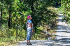 Birder Birder