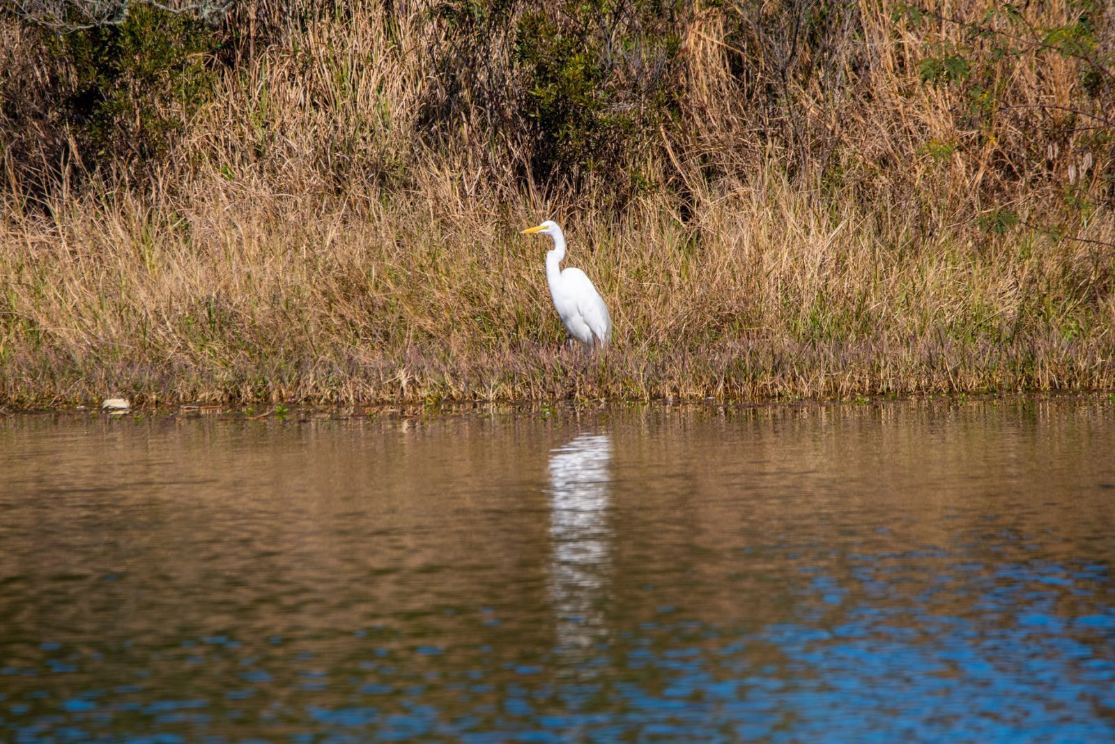 Pascagoula