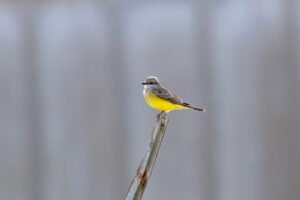 Clay Point Park – Biloxi Back Bay Blvd 10-23-25