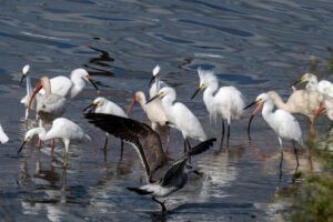 Clay Point Park 10/28/25