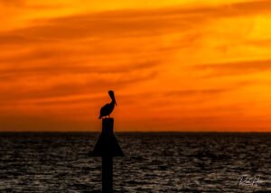 Sunrise and goodbye to my friend Jim