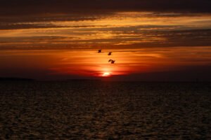 Sunrise from Point Cadet and a Little Biloxi history