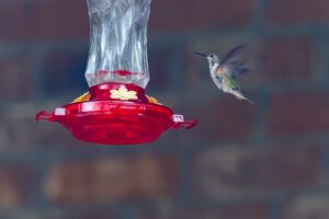 The First Week of January, 2026