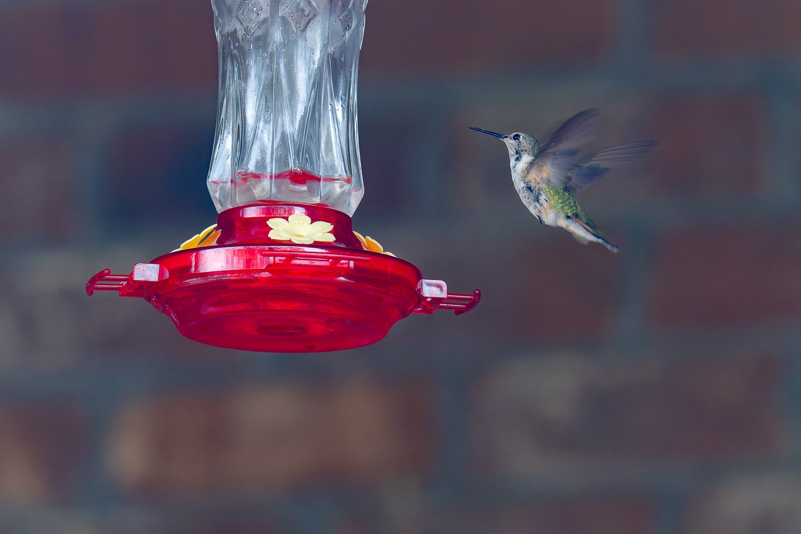 The First Week of January, 2026