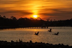 Mississippi Coast Sunrises