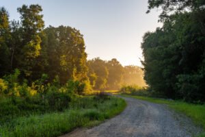 Early Morning at Ward Bayou 8/13/26