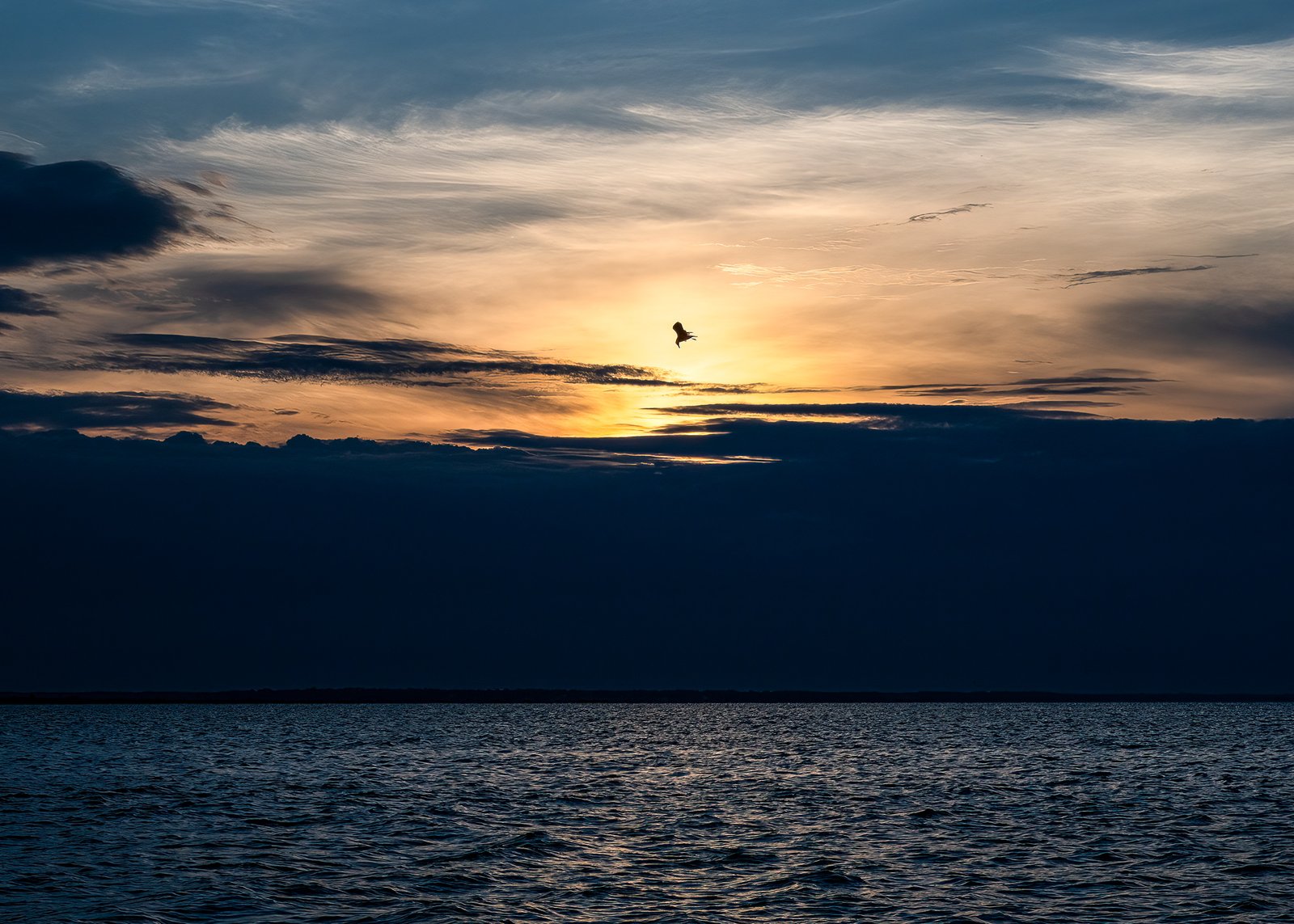 Morning in the Gulf of Mexico