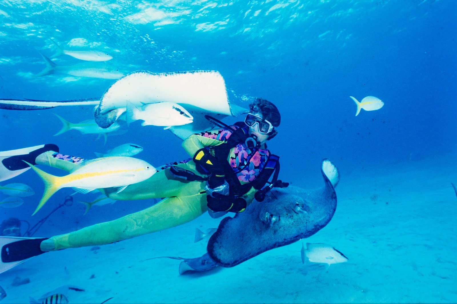 Underwater Photography #2