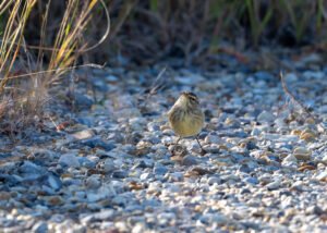 Sunday Morning – Breakfast and a Drive