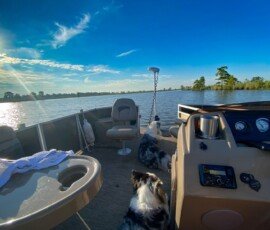 Bird Barge & kids at south on Bluff Creek