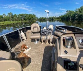 Bird Barge & kids at south on Bluff Creek