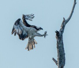 RLH_5238-Edit