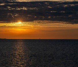 RLH_9241