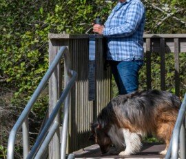 Birder wife and her Holly Berry