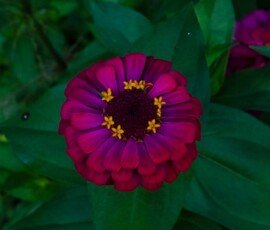 ZZ84234-Edit