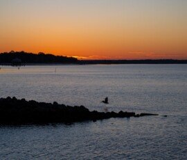 Harbor Sunrise